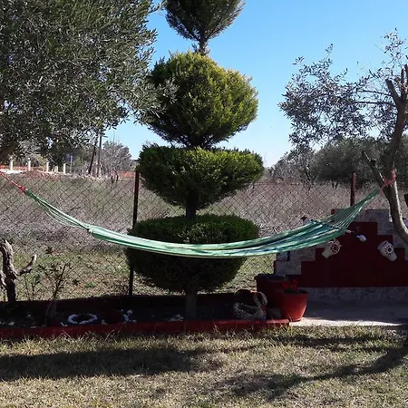The House Around Trees * Πορταριά