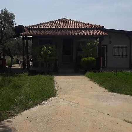 The House Around Trees Σπίτι διακοπών *