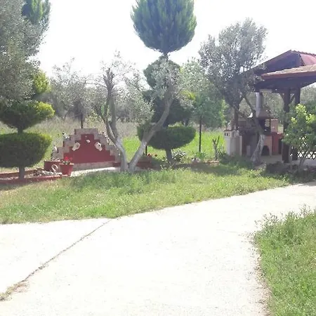 The House Around Trees *